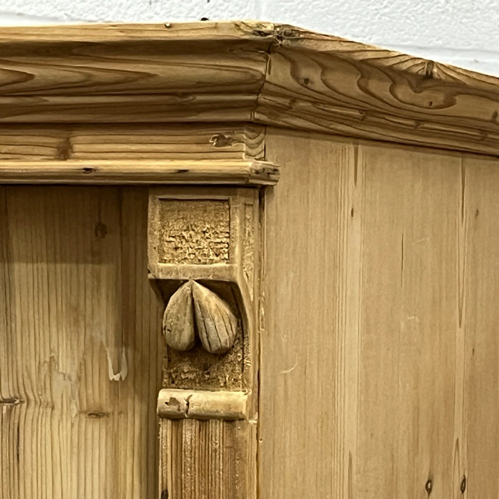 Large Old Pine Single Door Cupboard View VI