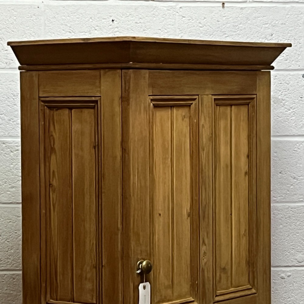 Tall Slim Old English Pine School Cupboard View IV