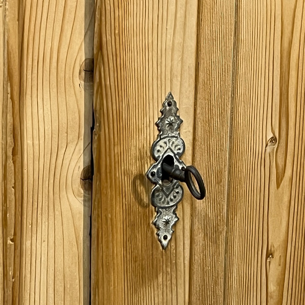Tall Slim Antique Pine 2 Door Cupboard View XI