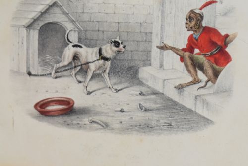 FINE PAIR OF REGENCY DRAWINGS OF MONKEYS - ADDITIONAL PHOTO 3