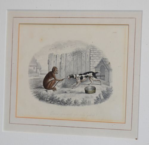 FINE PAIR OF REGENCY DRAWINGS OF MONKEYS - ADDITIONAL PHOTO 5