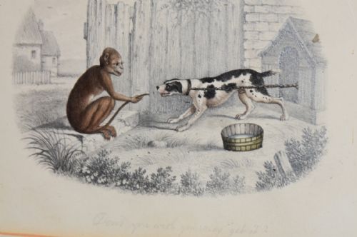 FINE PAIR OF REGENCY DRAWINGS OF MONKEYS - ADDITIONAL PHOTO 6