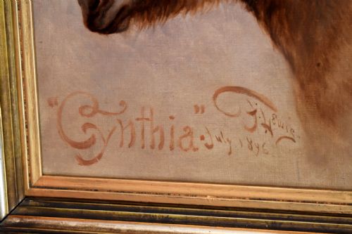 'CYNTHIA' VICTORIAN OIL PAINTING OF A DONKEY - ADDITIONAL PHOTO 5