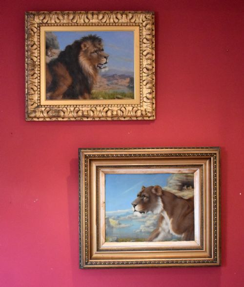 pair of oil paintings of a lion and lioness - CATEGORY: ANTIQUE ART - DATED 1900
