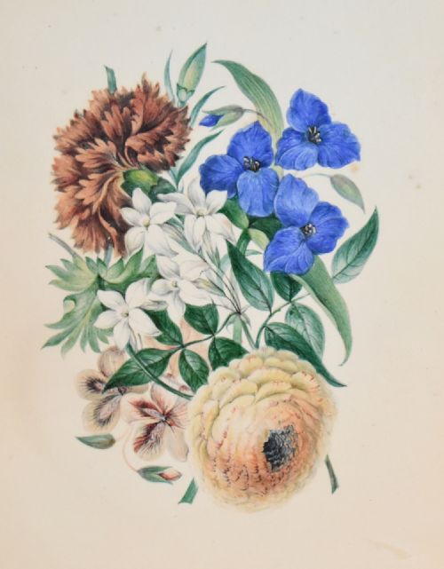 PAIR OF WATERCOLOUR STUDIES OF FLOWERS - ADDITIONAL PHOTO 3