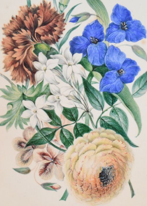 PAIR OF WATERCOLOUR STUDIES OF FLOWERS - ADDITIONAL PHOTO 4