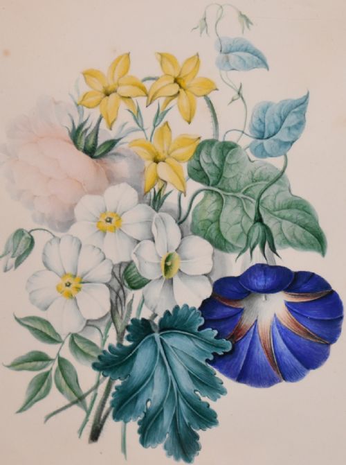 PAIR OF WATERCOLOUR STUDIES OF FLOWERS - ADDITIONAL PHOTO 7