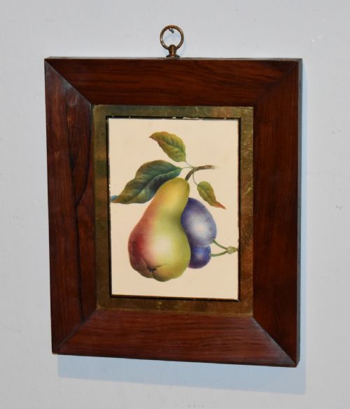 victorian miniature watercolour study of fruit - CATEGORY: ANTIQUE ART - DATED 1860