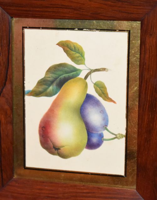 VICTORIAN MINIATURE WATERCOLOUR STUDY OF FRUIT - ADDITIONAL PHOTO 2