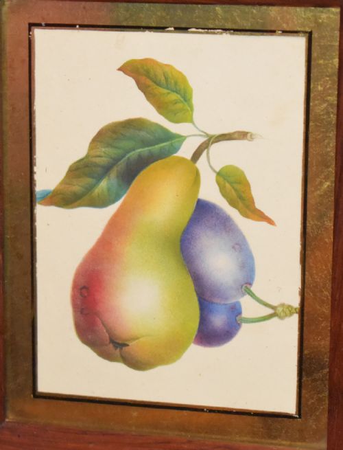 VICTORIAN MINIATURE WATERCOLOUR STUDY OF FRUIT - ADDITIONAL PHOTO 3