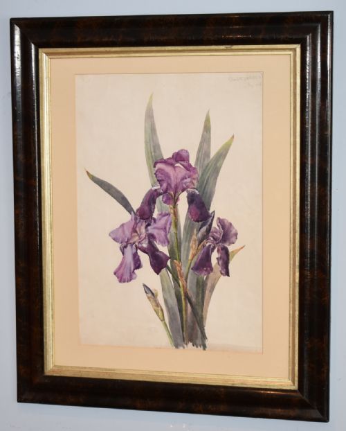VICTORIAN WATERCOLOUR BOTANICAL STUDY OF AN IRIS - ADDITIONAL PHOTO 1
