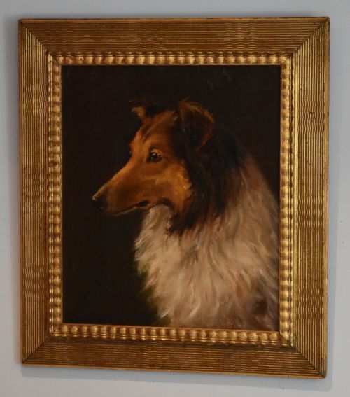 fine oil painting of 'teddy' a rough collie dog - CATEGORY: ANTIQUE ART - DATED 1900