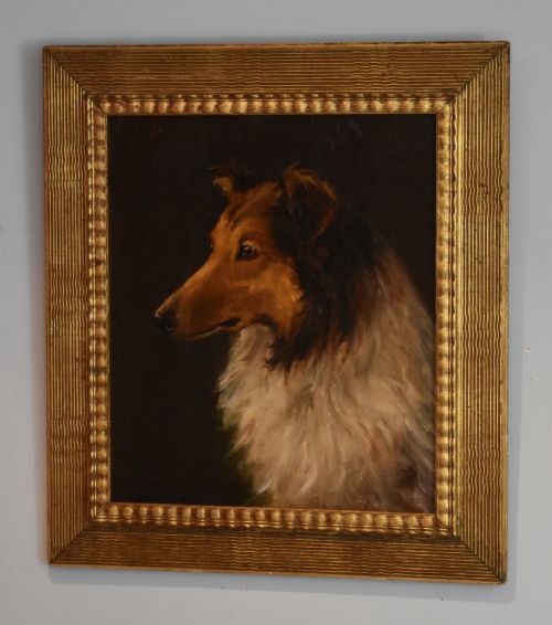 FINE OIL PAINTING OF 'TEDDY' A ROUGH COLLIE DOG - ADDITIONAL PHOTO 1