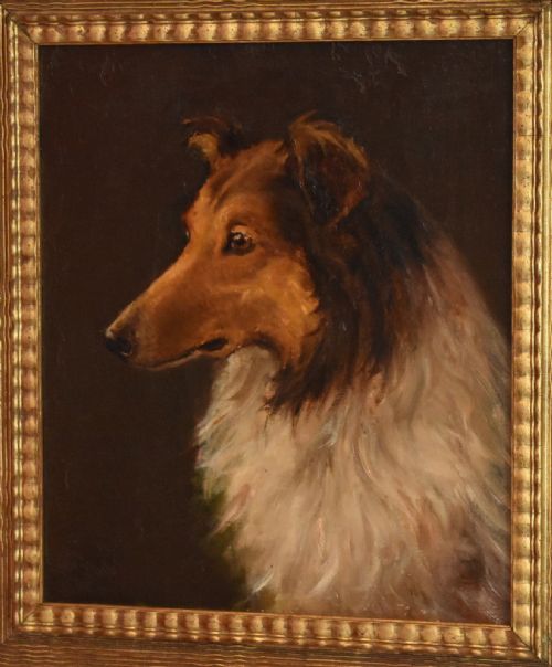 FINE OIL PAINTING OF 'TEDDY' A ROUGH COLLIE DOG - ADDITIONAL PHOTO 2