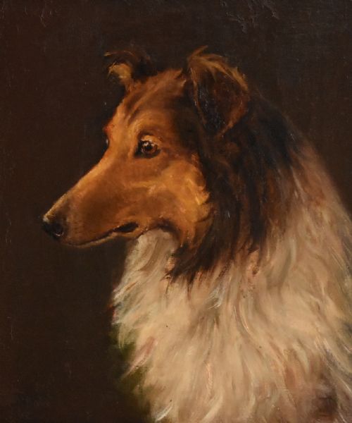 FINE OIL PAINTING OF 'TEDDY' A ROUGH COLLIE DOG - ADDITIONAL PHOTO 3