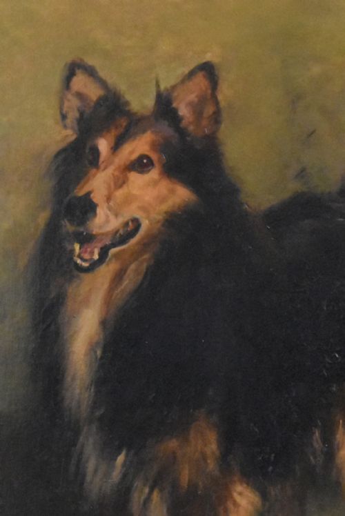 LARGE OIL PAINTING OF A COLLIE DOG BY MADELINE GRAHAM BARKER - ADDITIONAL PHOTO 4