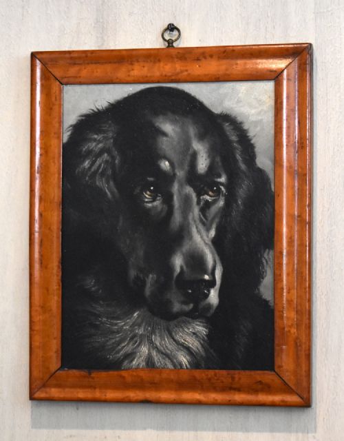 'BLACK DOG' OIL PAINTING - ADDITIONAL PHOTO 1