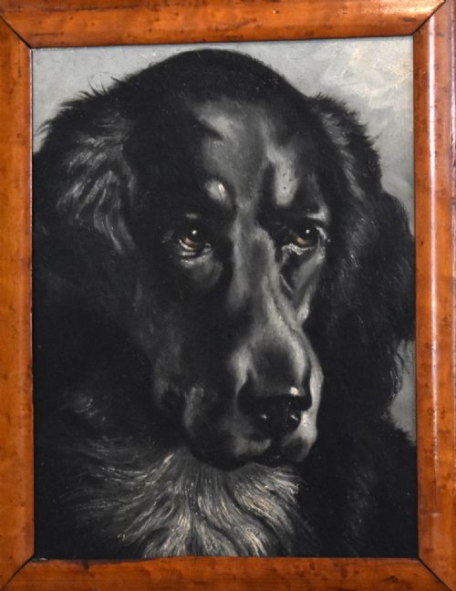 'BLACK DOG' OIL PAINTING - ADDITIONAL PHOTO 2