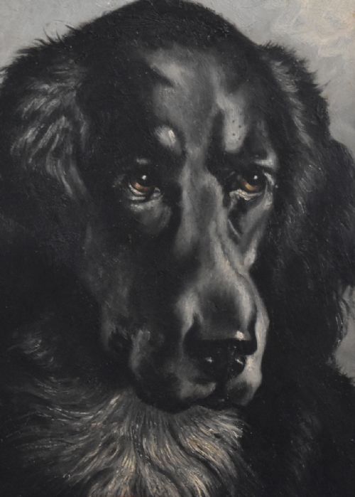 'BLACK DOG' OIL PAINTING - ADDITIONAL PHOTO 3