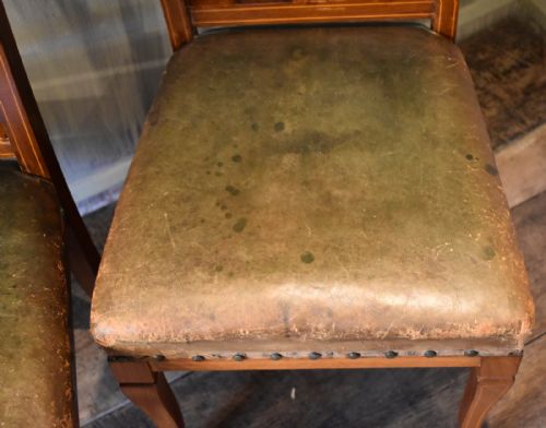 RARE PAIR OF AFRICAN GOLDEN WALNUT CHAIRS - ADDITIONAL PHOTO 5