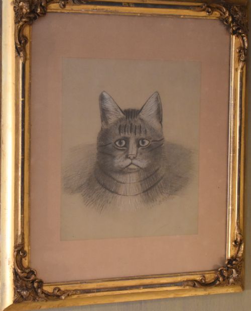 SUPERB VICTORIAN 'GRUMPY CAT' PASTEL DRAWING - ADDITIONAL PHOTO 1