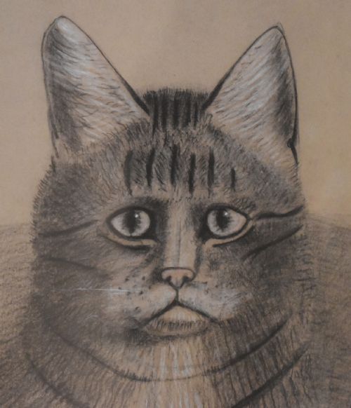 SUPERB VICTORIAN 'GRUMPY CAT' PASTEL DRAWING - ADDITIONAL PHOTO 6