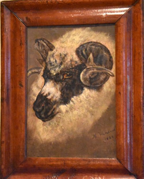 SHEEP PORTRAIT OIL PAINTING BY HWINDRED - ADDITIONAL PHOTO 1