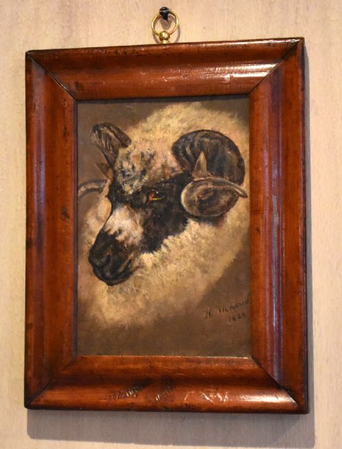 SHEEP PORTRAIT OIL PAINTING BY HWINDRED - ADDITIONAL PHOTO 2