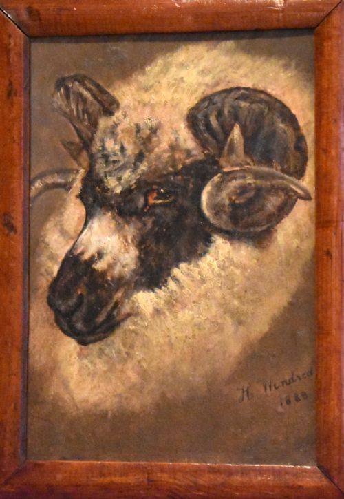 SHEEP PORTRAIT OIL PAINTING BY HWINDRED - ADDITIONAL PHOTO 3
