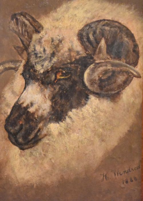 SHEEP PORTRAIT OIL PAINTING BY HWINDRED - ADDITIONAL PHOTO 4