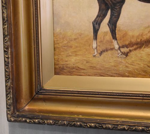 MONARCH OIL PAINTING OF A HORSE BY WILLIAM EDDOWES TURNER - ADDITIONAL PHOTO 5