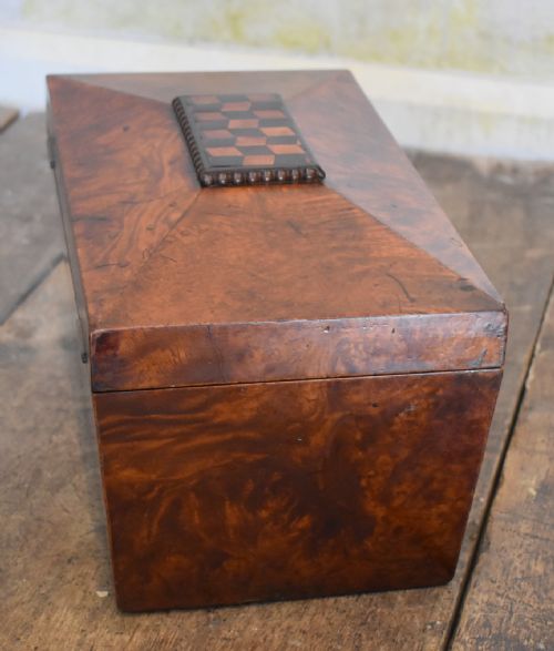 SUPERB REGENCY BURR YEW TEA CADDY - ADDITIONAL PHOTO 5