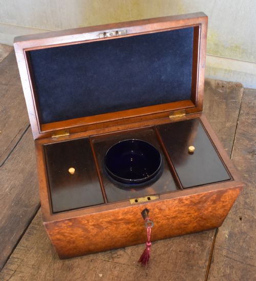 SUPERB REGENCY BURR YEW TEA CADDY - ADDITIONAL PHOTO 6