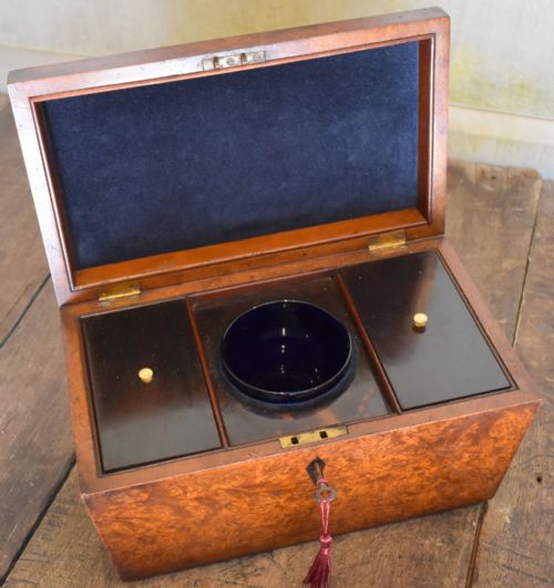 SUPERB REGENCY BURR YEW TEA CADDY - ADDITIONAL PHOTO 7