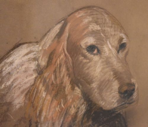 PASTEL DOG PORTRAIT BY WASDELL TRICKET - ADDITIONAL PHOTO 4