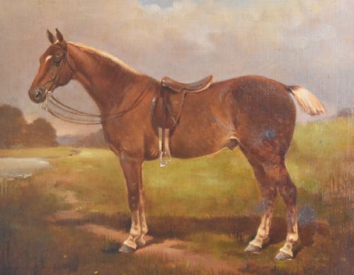 VICTORIAN HORSE OIL PAINTING BY BCHICHESTER - ADDITIONAL PHOTO 3