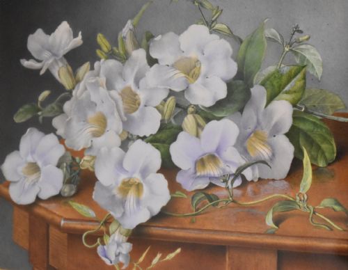 FINE FLORAL STILL LIFE WATERCOLOUR BY EVA FRANCIS - ADDITIONAL PHOTO 1