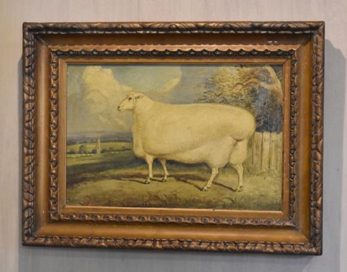 superb prize sheep oil painting - CATEGORY: ANTIQUE ART - DATED 1880