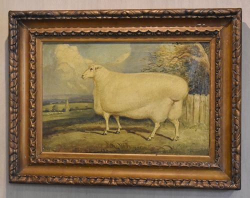 SUPERB PRIZE SHEEP OIL PAINTING - ADDITIONAL PHOTO 1