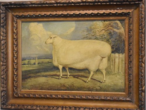 SUPERB PRIZE SHEEP OIL PAINTING - ADDITIONAL PHOTO 2