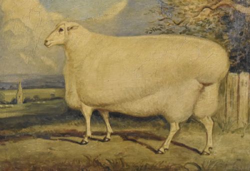 SUPERB PRIZE SHEEP OIL PAINTING - ADDITIONAL PHOTO 4