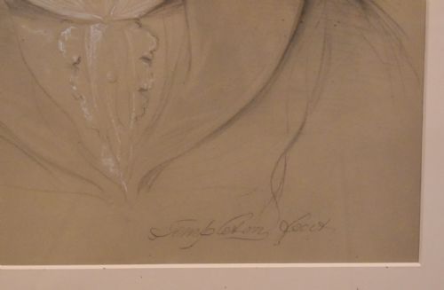 SUPERB PAIR OF LARGE PORTRAIT DRAWINGS BY JSTEMPLETON - ADDITIONAL PHOTO 9