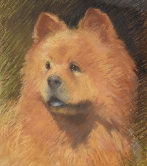 PASTEL DRAWING OF A CHOW DOG BY FAITH KENWORTHY BROWN - ADDITIONAL PHOTO 3