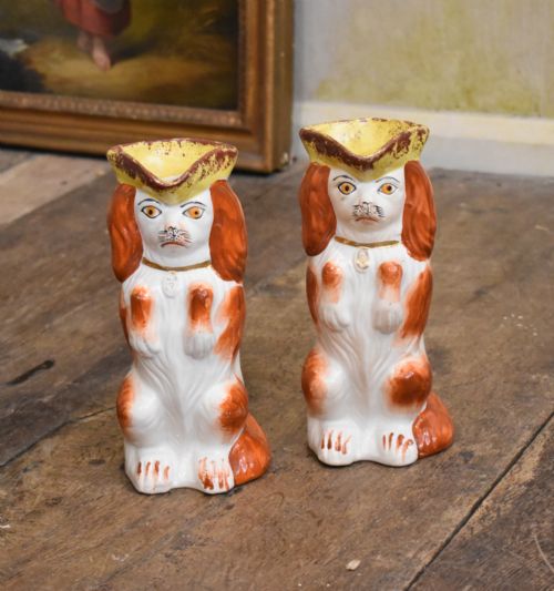 pair of victorian staffordshire dog toby jugs - CATEGORY: ANTIQUE JUGS - DATED VICTORIAN