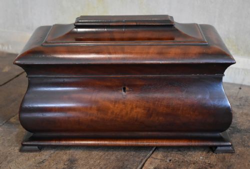 SUPERB LATE REGENCY MAHOGANY TEA CADDY - ADDITIONAL PHOTO 2