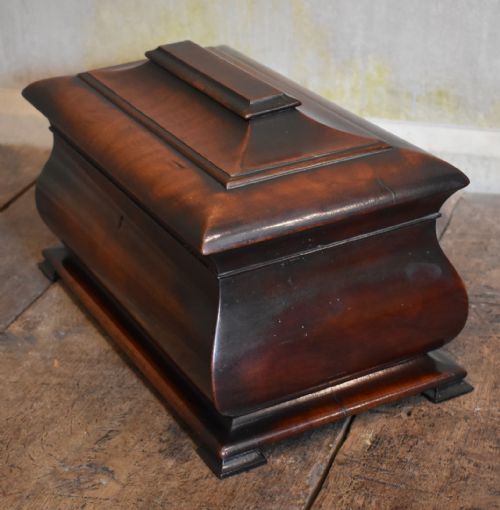 SUPERB LATE REGENCY MAHOGANY TEA CADDY - ADDITIONAL PHOTO 9