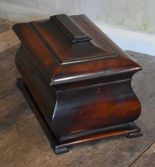 SUPERB LATE REGENCY MAHOGANY TEA CADDY - ADDITIONAL PHOTO 12