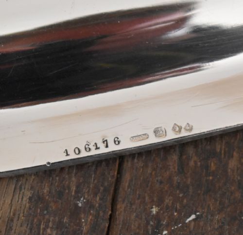 LARGE SILVER PLATE FISH PLATTER - ADDITIONAL PHOTO 4