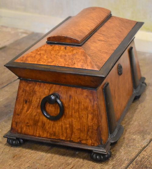 SUPERB REGENCY BURR ELM TEA CADDY - ADDITIONAL PHOTO 11