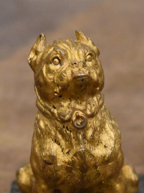 LATE VICTORIAN GILT BRONZE BULLDOG - ADDITIONAL PHOTO 4